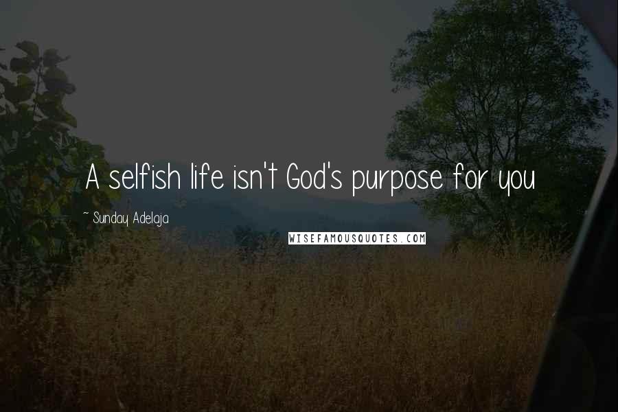 Sunday Adelaja Quotes: A selfish life isn't God's purpose for you