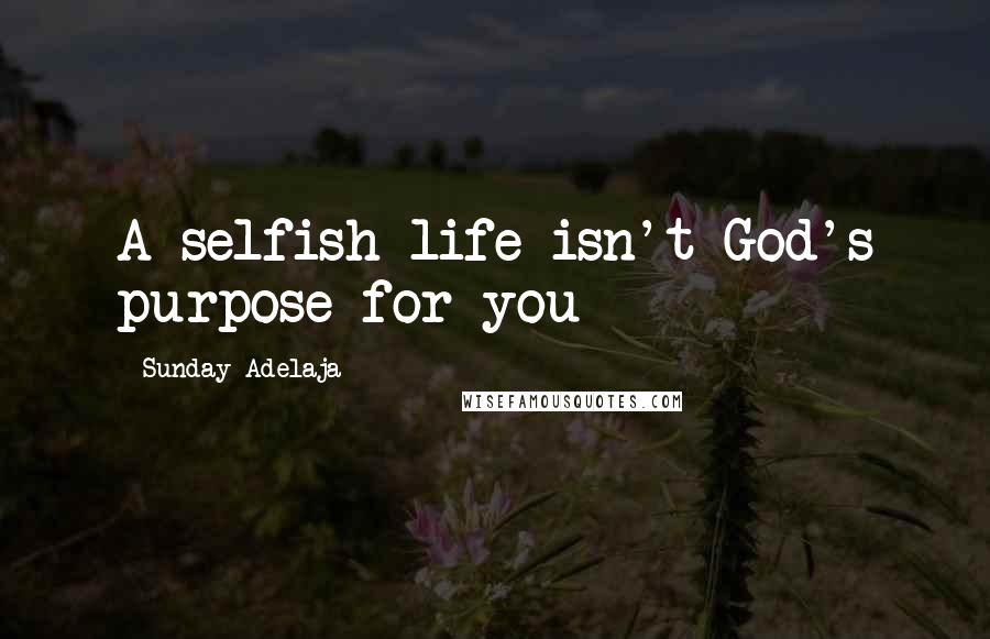 Sunday Adelaja Quotes: A selfish life isn't God's purpose for you