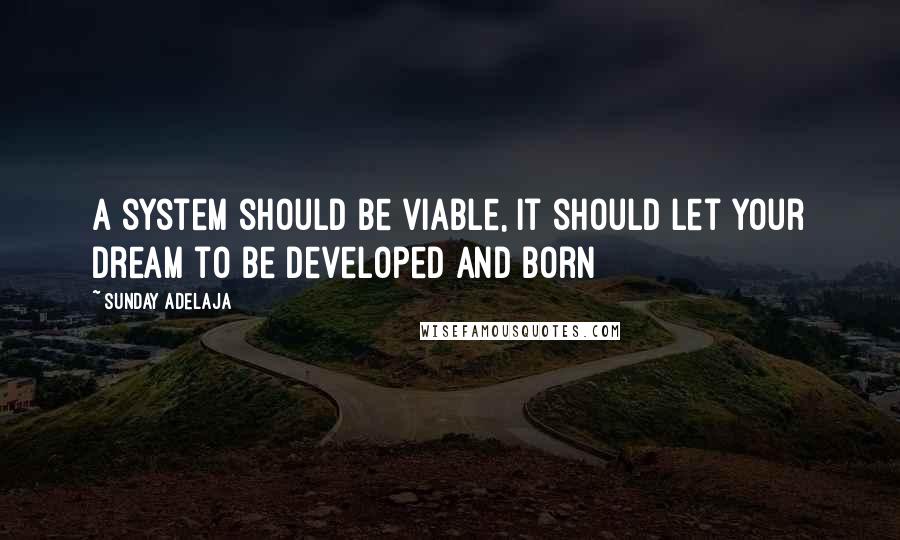 Sunday Adelaja Quotes: A system should be viable, it should let your dream to be developed and born