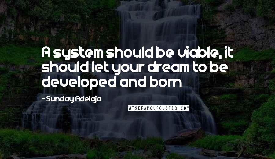 Sunday Adelaja Quotes: A system should be viable, it should let your dream to be developed and born