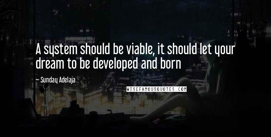 Sunday Adelaja Quotes: A system should be viable, it should let your dream to be developed and born