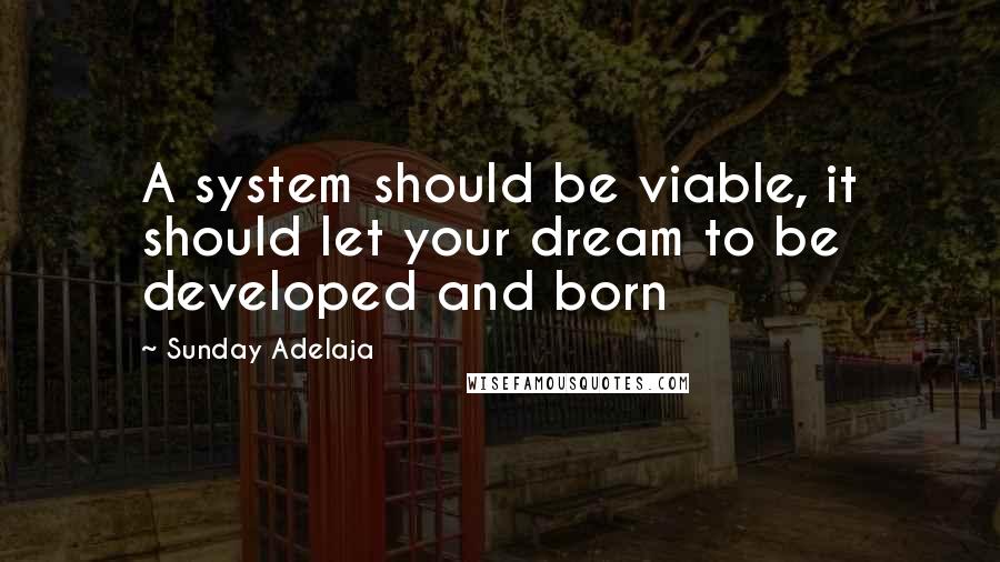 Sunday Adelaja Quotes: A system should be viable, it should let your dream to be developed and born