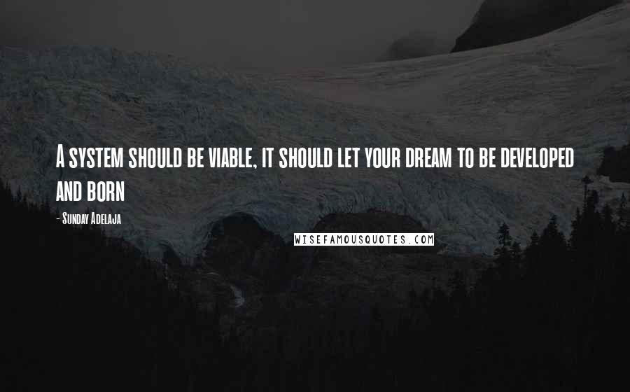 Sunday Adelaja Quotes: A system should be viable, it should let your dream to be developed and born