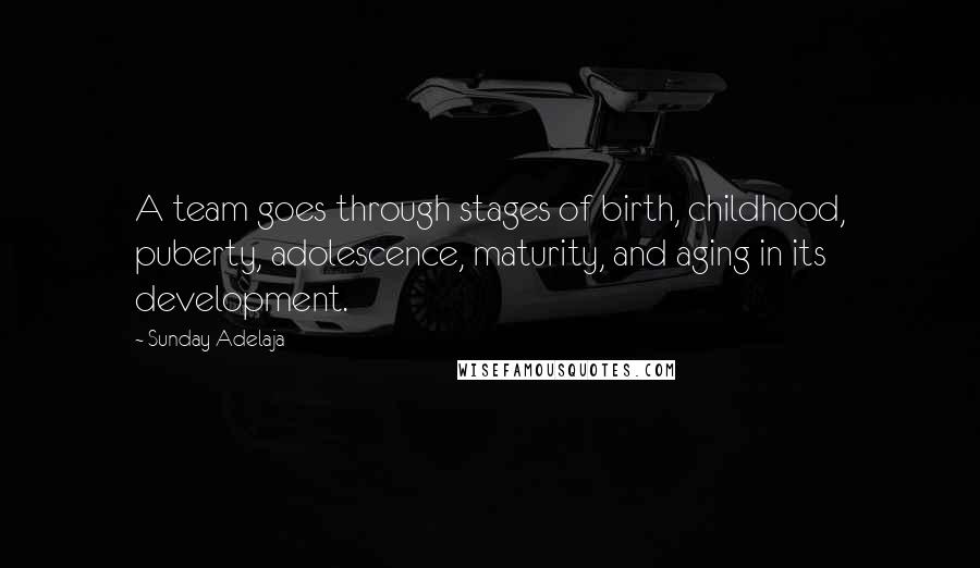 Sunday Adelaja Quotes: A team goes through stages of birth, childhood, puberty, adolescence, maturity, and aging in its development.