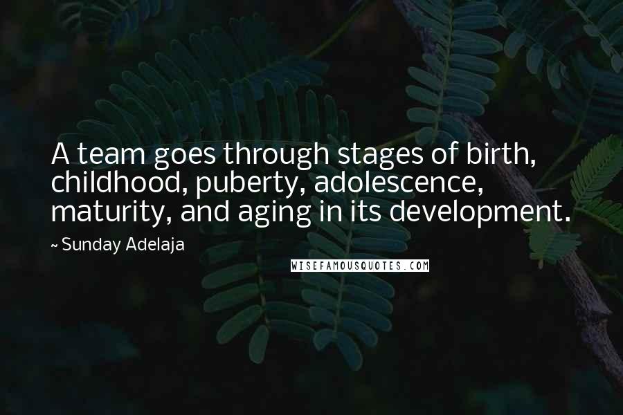 Sunday Adelaja Quotes: A team goes through stages of birth, childhood, puberty, adolescence, maturity, and aging in its development.