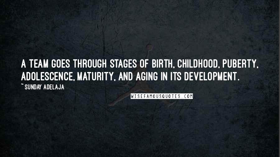 Sunday Adelaja Quotes: A team goes through stages of birth, childhood, puberty, adolescence, maturity, and aging in its development.