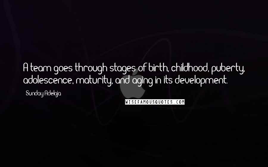 Sunday Adelaja Quotes: A team goes through stages of birth, childhood, puberty, adolescence, maturity, and aging in its development.