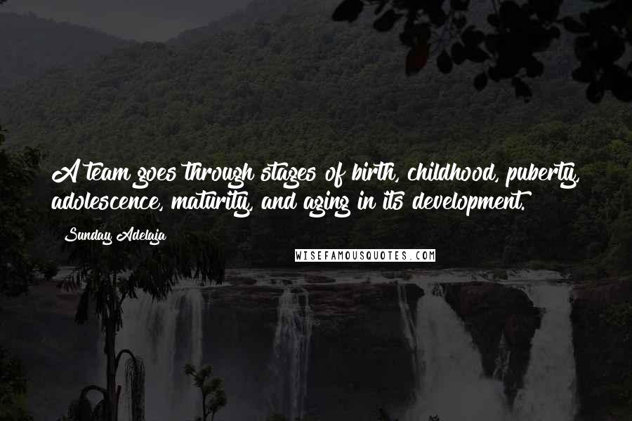 Sunday Adelaja Quotes: A team goes through stages of birth, childhood, puberty, adolescence, maturity, and aging in its development.