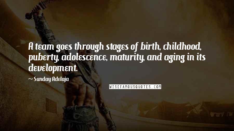 Sunday Adelaja Quotes: A team goes through stages of birth, childhood, puberty, adolescence, maturity, and aging in its development.