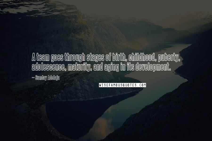Sunday Adelaja Quotes: A team goes through stages of birth, childhood, puberty, adolescence, maturity, and aging in its development.
