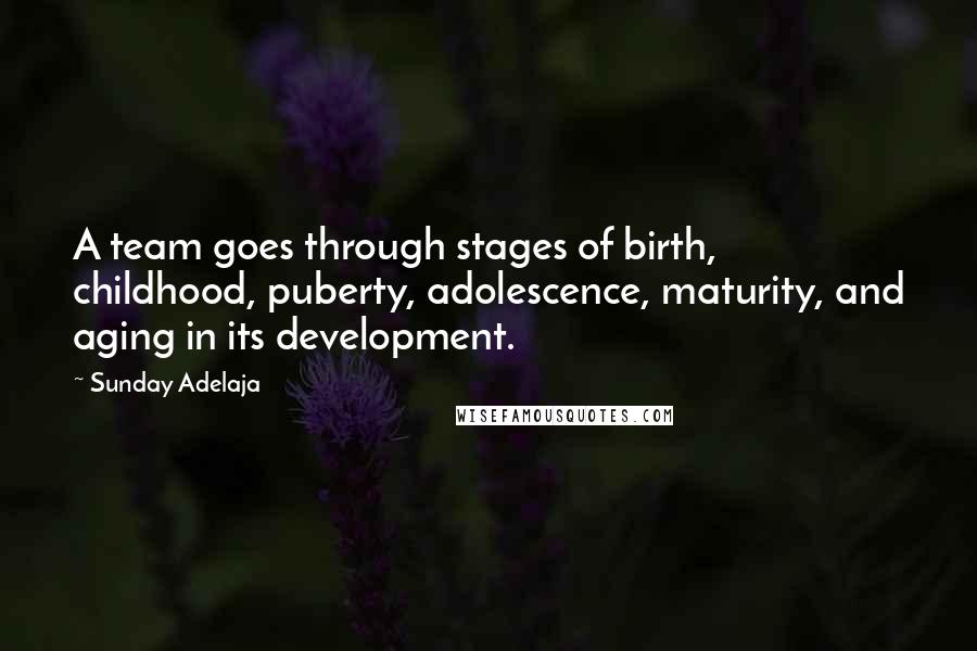 Sunday Adelaja Quotes: A team goes through stages of birth, childhood, puberty, adolescence, maturity, and aging in its development.