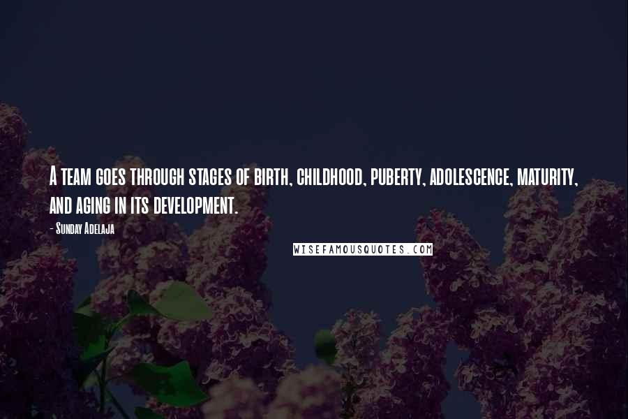 Sunday Adelaja Quotes: A team goes through stages of birth, childhood, puberty, adolescence, maturity, and aging in its development.