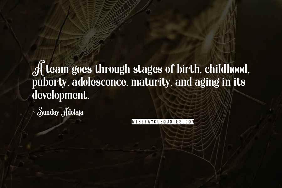 Sunday Adelaja Quotes: A team goes through stages of birth, childhood, puberty, adolescence, maturity, and aging in its development.