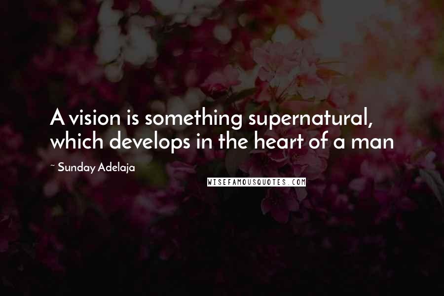 Sunday Adelaja Quotes: A vision is something supernatural, which develops in the heart of a man