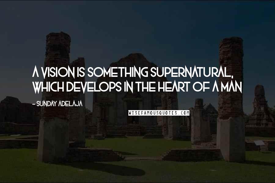 Sunday Adelaja Quotes: A vision is something supernatural, which develops in the heart of a man