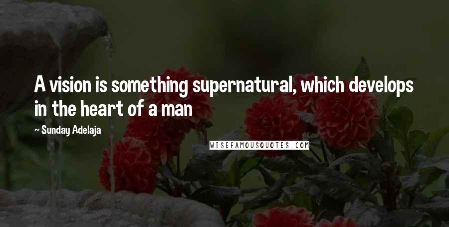 Sunday Adelaja Quotes: A vision is something supernatural, which develops in the heart of a man