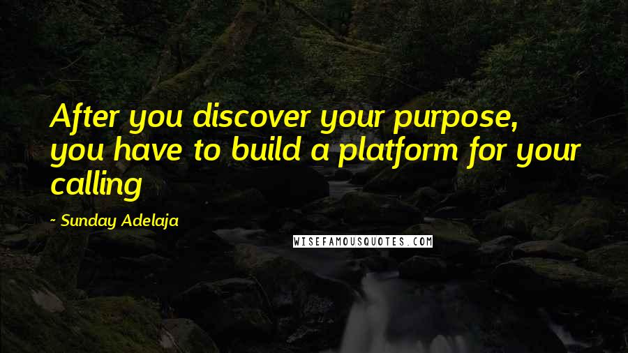 Sunday Adelaja Quotes: After you discover your purpose, you have to build a platform for your calling