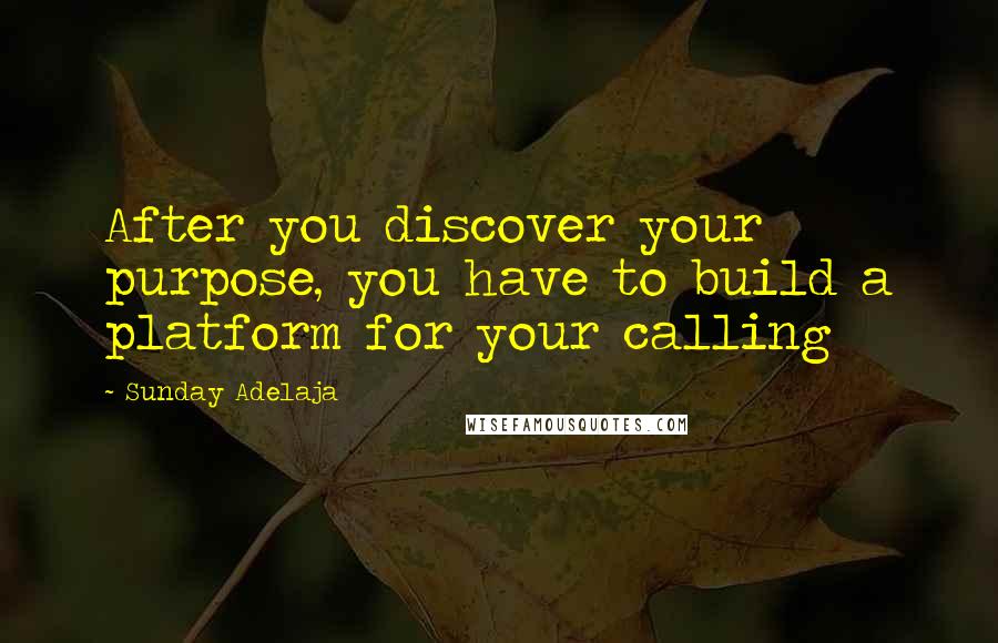 Sunday Adelaja Quotes: After you discover your purpose, you have to build a platform for your calling