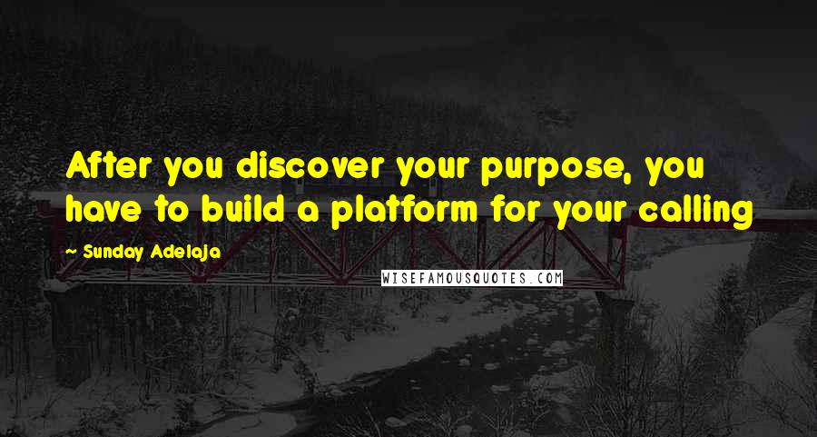 Sunday Adelaja Quotes: After you discover your purpose, you have to build a platform for your calling