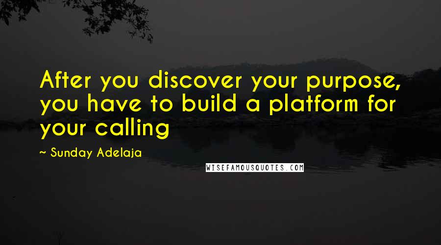 Sunday Adelaja Quotes: After you discover your purpose, you have to build a platform for your calling