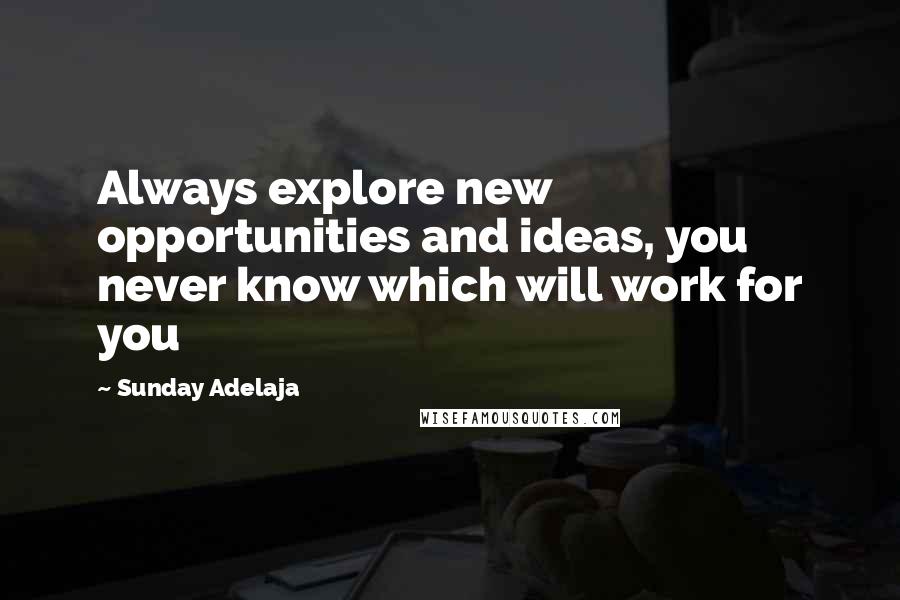 Sunday Adelaja Quotes: Always explore new opportunities and ideas, you never know which will work for you