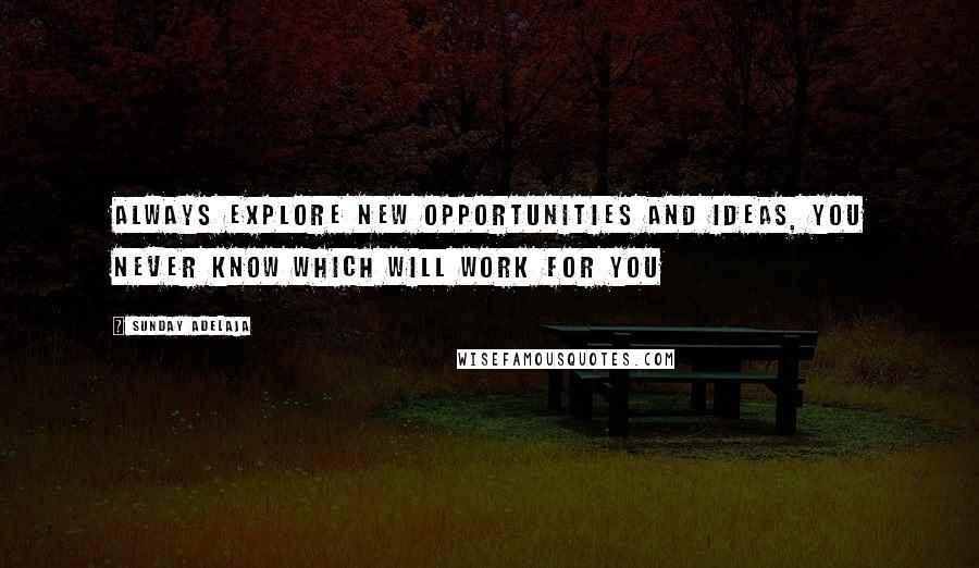 Sunday Adelaja Quotes: Always explore new opportunities and ideas, you never know which will work for you