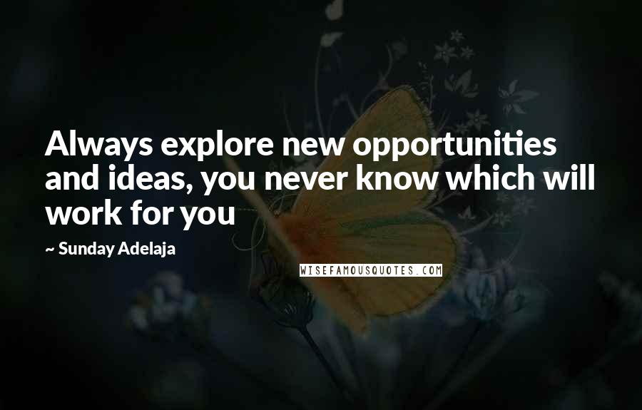 Sunday Adelaja Quotes: Always explore new opportunities and ideas, you never know which will work for you