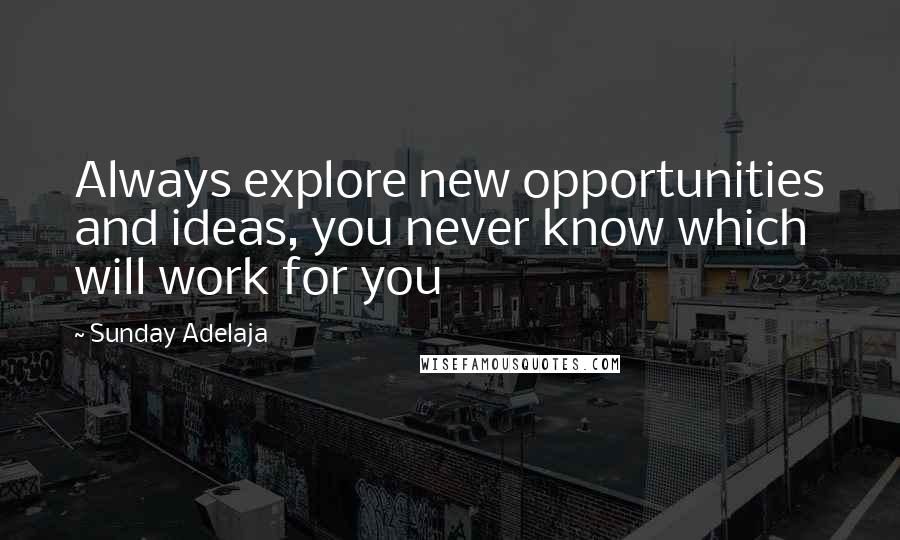 Sunday Adelaja Quotes: Always explore new opportunities and ideas, you never know which will work for you