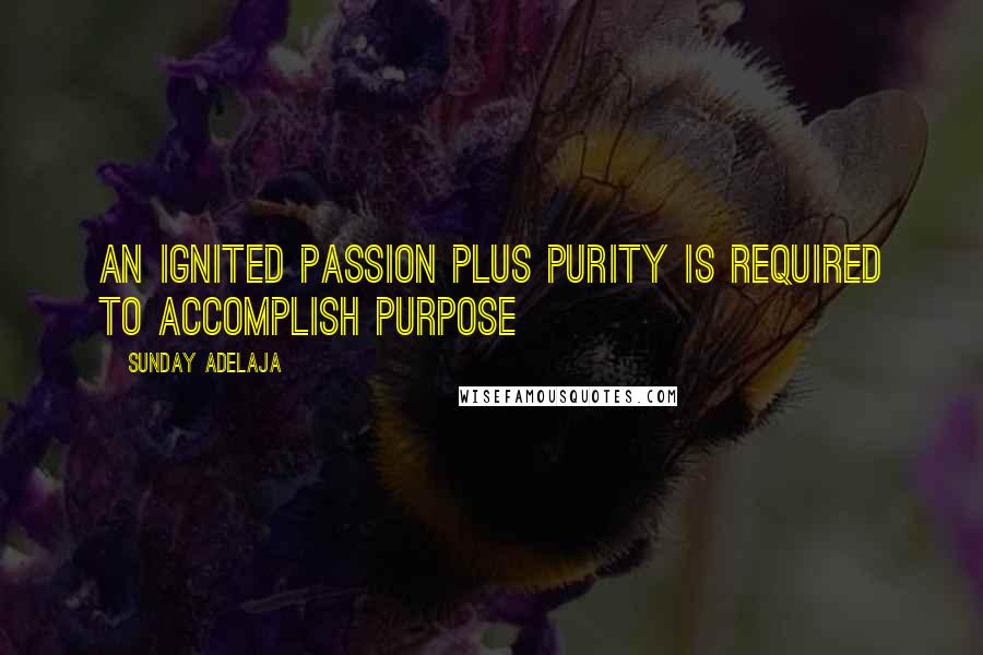 Sunday Adelaja Quotes: An Ignited Passion Plus Purity Is Required To Accomplish Purpose