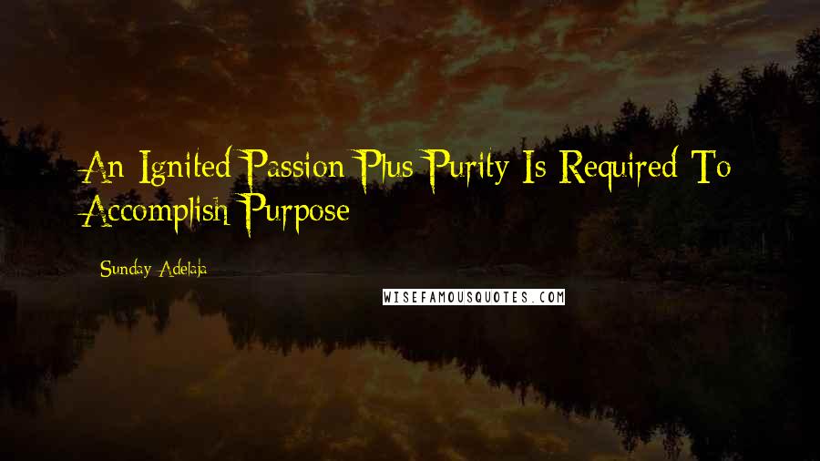 Sunday Adelaja Quotes: An Ignited Passion Plus Purity Is Required To Accomplish Purpose