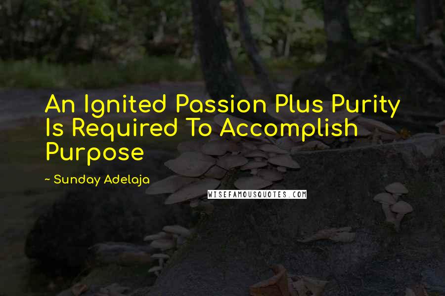 Sunday Adelaja Quotes: An Ignited Passion Plus Purity Is Required To Accomplish Purpose