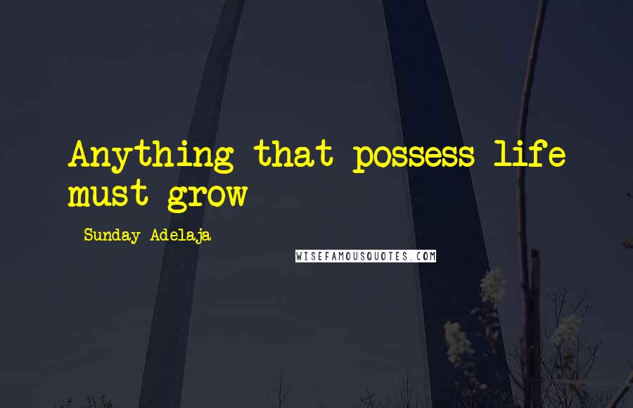 Sunday Adelaja Quotes: Anything that possess life must grow