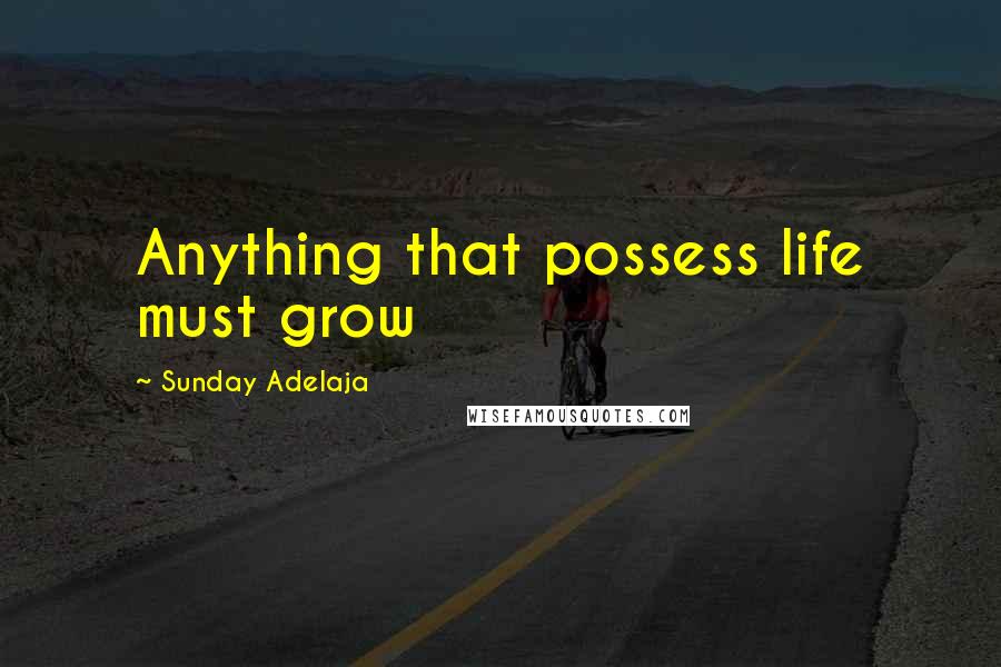Sunday Adelaja Quotes: Anything that possess life must grow