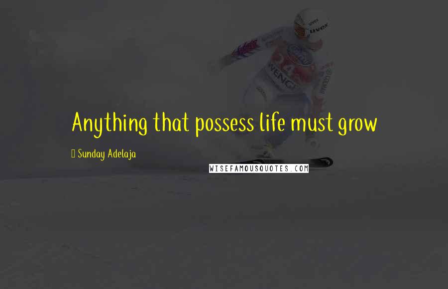Sunday Adelaja Quotes: Anything that possess life must grow