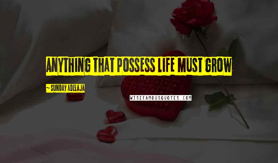 Sunday Adelaja Quotes: Anything that possess life must grow