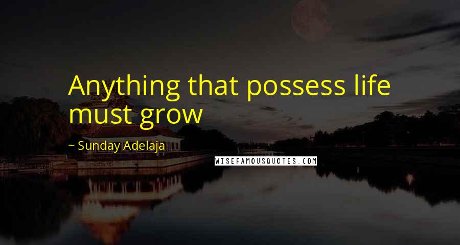 Sunday Adelaja Quotes: Anything that possess life must grow