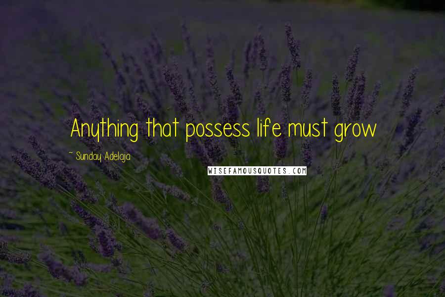 Sunday Adelaja Quotes: Anything that possess life must grow
