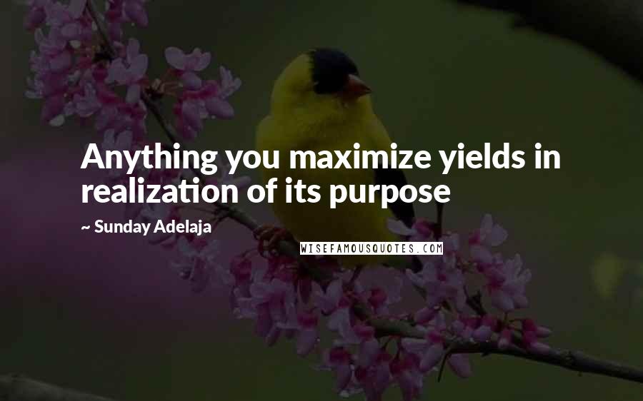 Sunday Adelaja Quotes: Anything you maximize yields in realization of its purpose