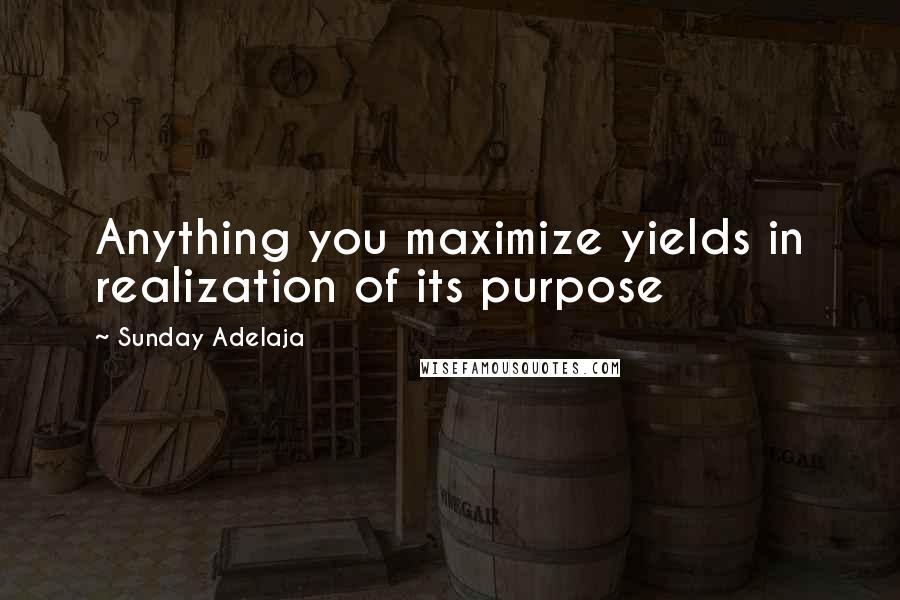 Sunday Adelaja Quotes: Anything you maximize yields in realization of its purpose