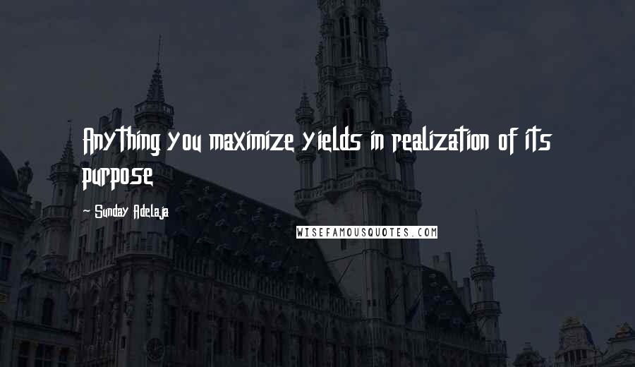 Sunday Adelaja Quotes: Anything you maximize yields in realization of its purpose