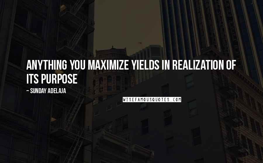 Sunday Adelaja Quotes: Anything you maximize yields in realization of its purpose