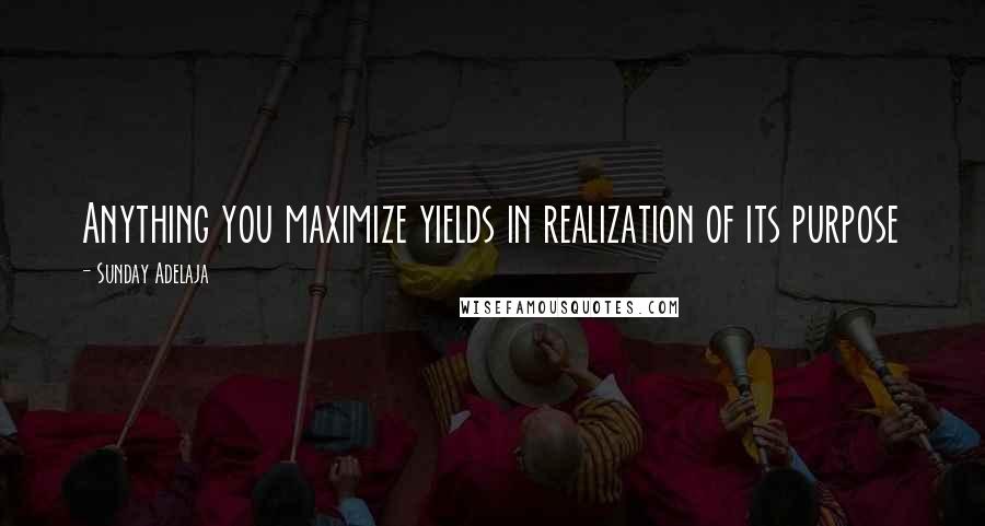 Sunday Adelaja Quotes: Anything you maximize yields in realization of its purpose