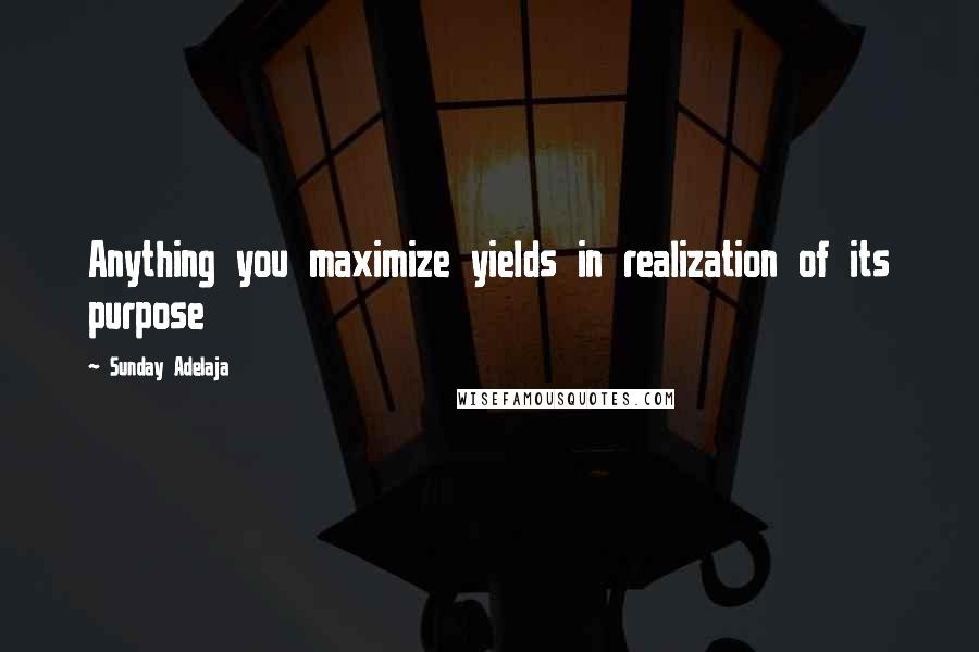 Sunday Adelaja Quotes: Anything you maximize yields in realization of its purpose