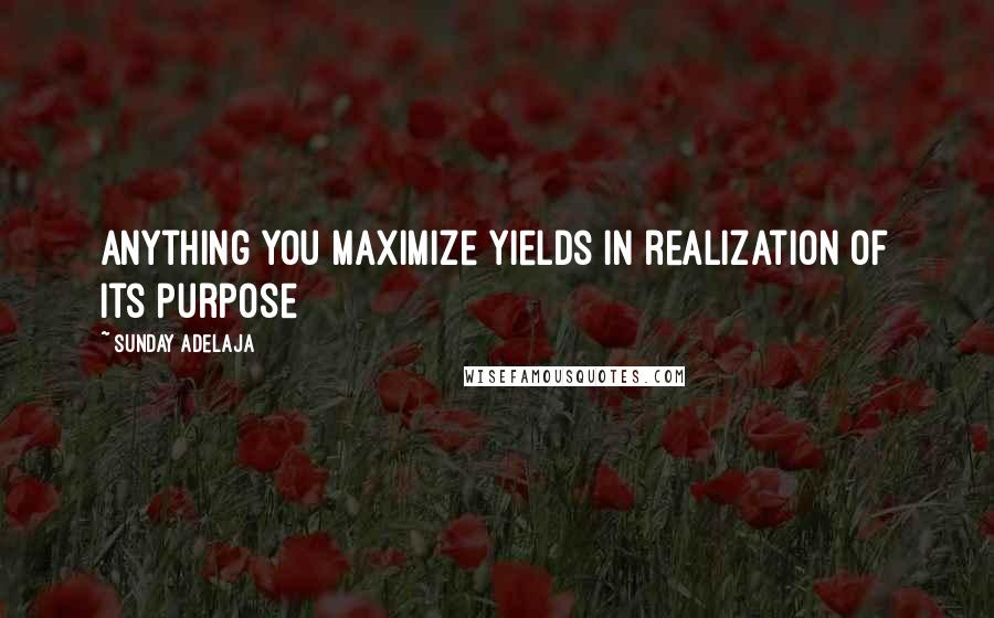 Sunday Adelaja Quotes: Anything you maximize yields in realization of its purpose