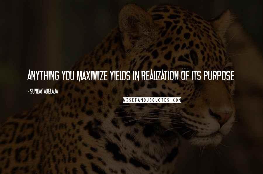Sunday Adelaja Quotes: Anything you maximize yields in realization of its purpose