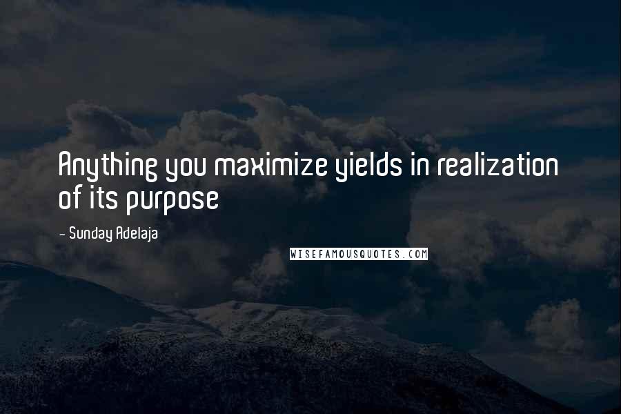Sunday Adelaja Quotes: Anything you maximize yields in realization of its purpose