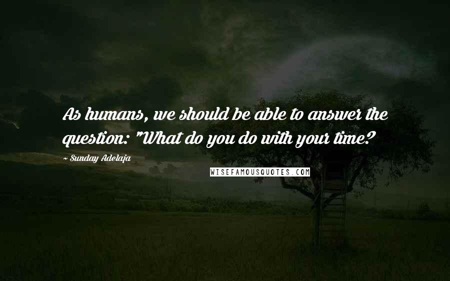 Sunday Adelaja Quotes: As humans, we should be able to answer the question: "What do you do with your time?