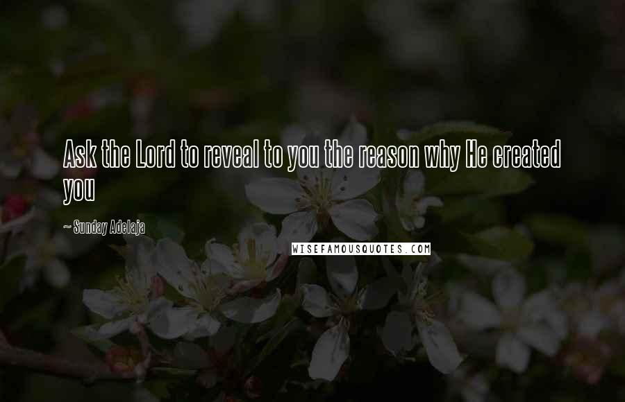 Sunday Adelaja Quotes: Ask the Lord to reveal to you the reason why He created you