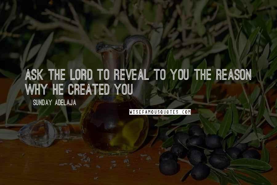 Sunday Adelaja Quotes: Ask the Lord to reveal to you the reason why He created you