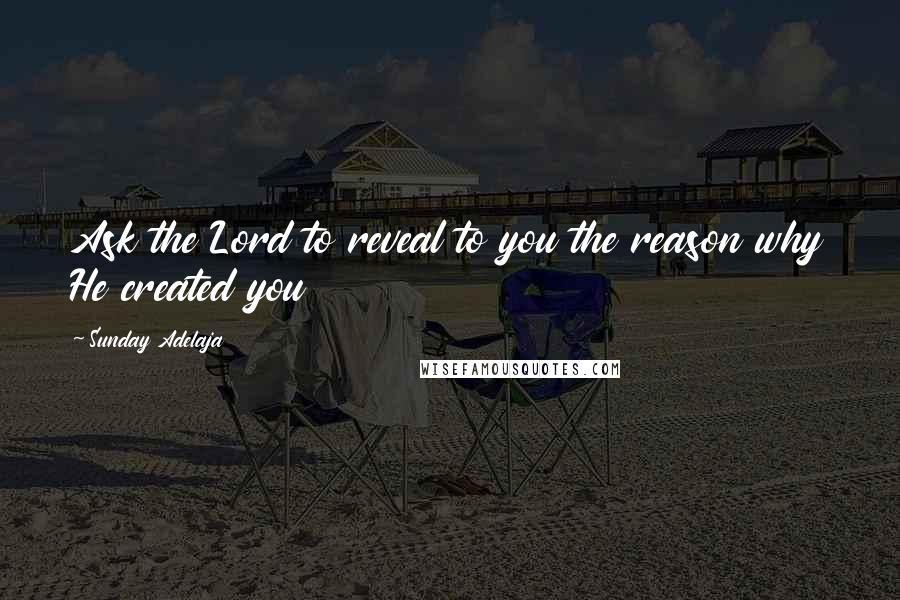 Sunday Adelaja Quotes: Ask the Lord to reveal to you the reason why He created you